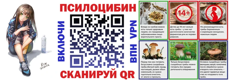 как найти закладки  Сольвычегодск  нарко площадка какой сайт  Галлюциногенные грибы мухоморы  omg вход 