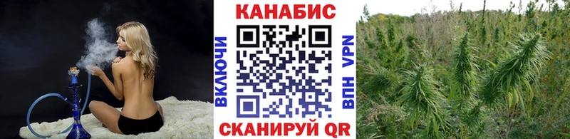 наркотики  маркетплейс Telegram  Шишки марихуана AK-47  Сольвычегодск 